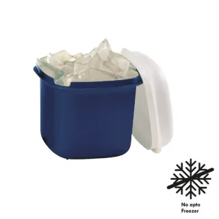 Hielera ACTUALITE Tupperware Plastico con Tapa — Mediano
